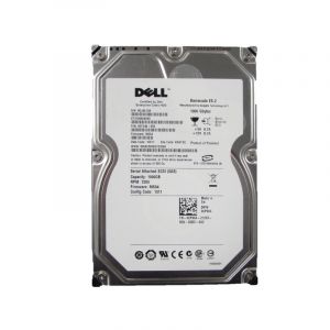 Dell ST31000640SS